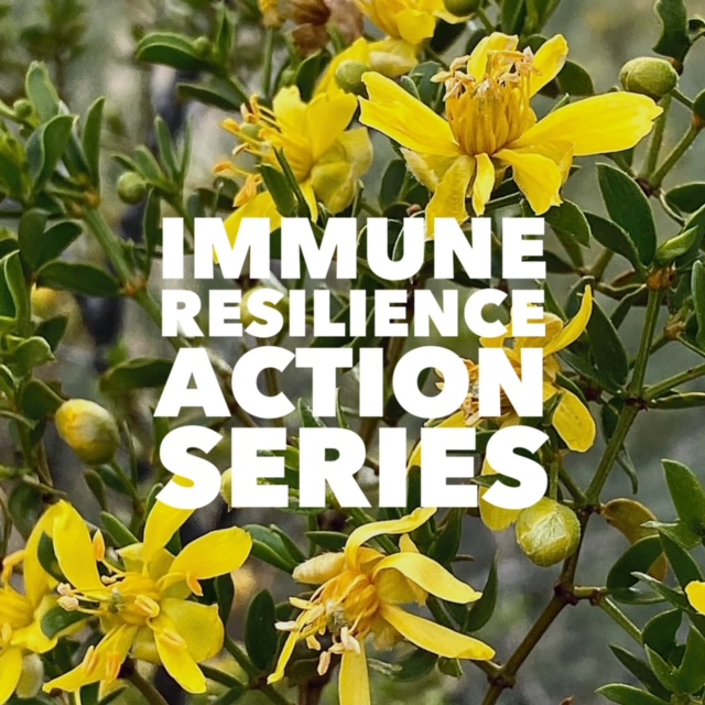 immune resilience action series | learn with dr. orna izakson