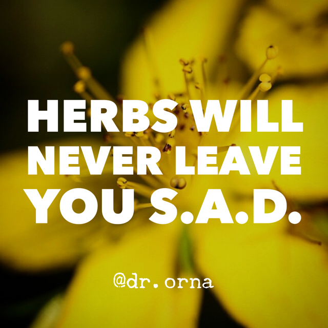 herbs will never leave you S.A.D. | learn with dr. orna izakson