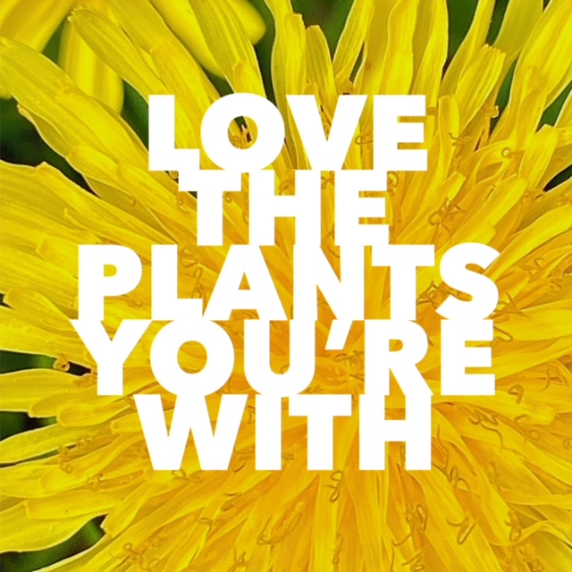 love the plants you're with | learn with dr. orna izakson