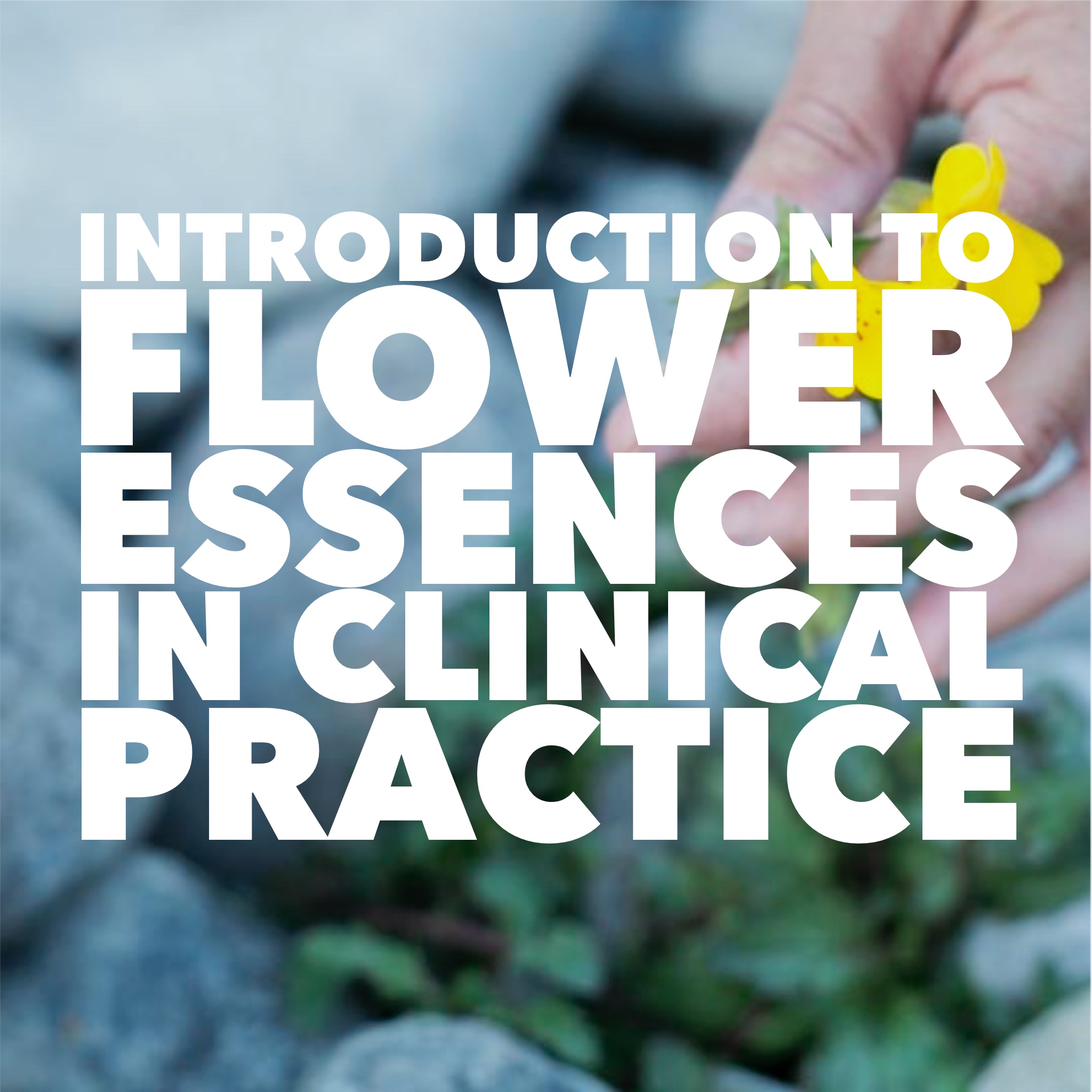 introduction to flower essences in clinical practice | learn with Dr. Orna Izakson